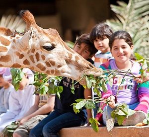 Abu Dhabi: Up to 2 Nights with Zoo Tickets