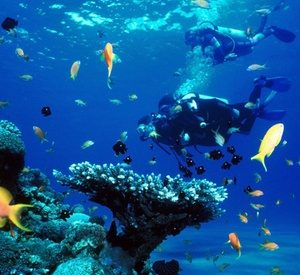Dubai: 1- or 2-Night 4* Stay with Diving Experience