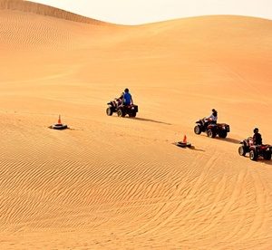 Half-Day Desert Safari with Optional Quad Biking